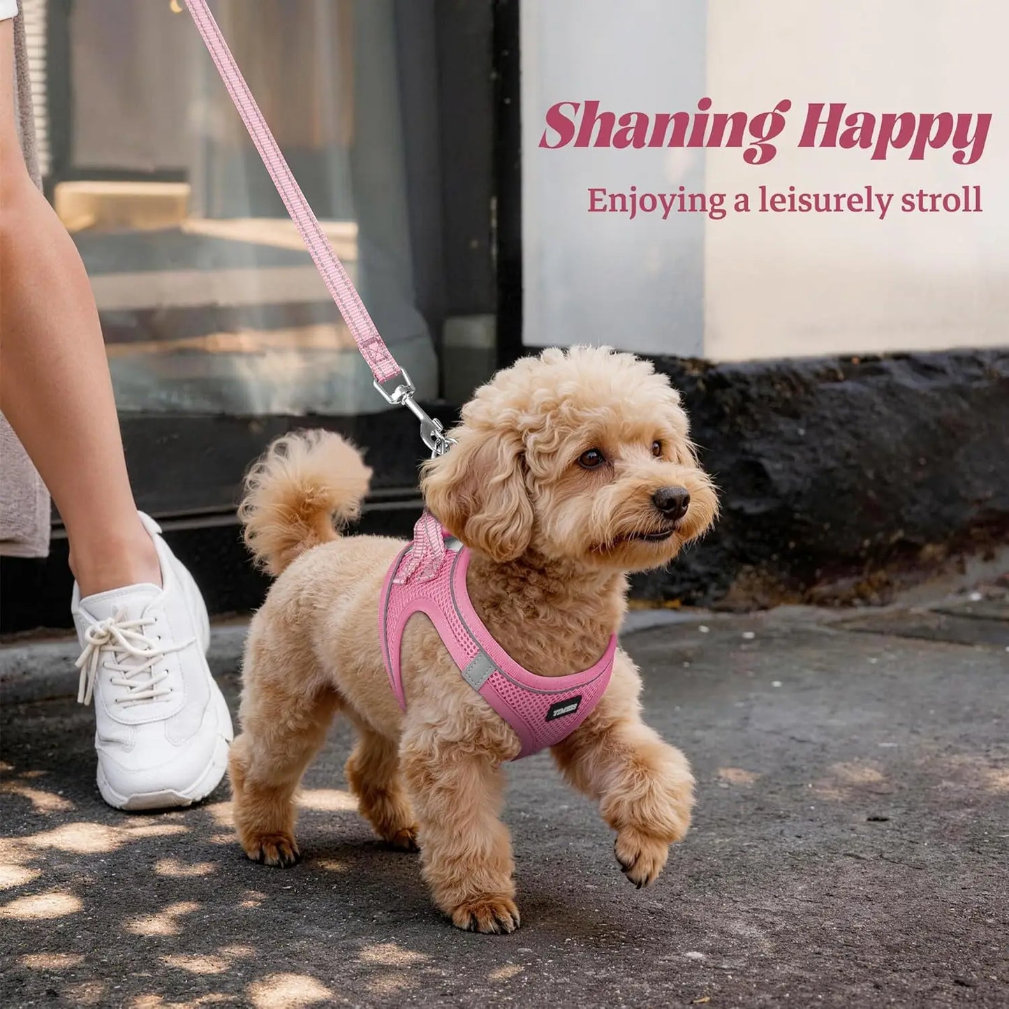 No Pull Dog Harness and Leash Set, Soft Mesh Reflective Vest for Small Medium Dogs, Step-In Design with Adjustable Straps