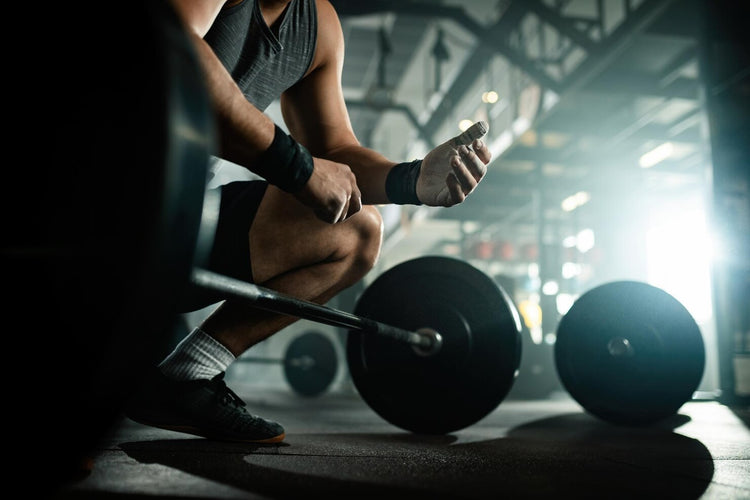Fitness & Wellness