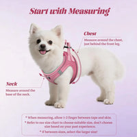 No Pull Dog Harness and Leash Set, Soft Mesh Reflective Vest for Small Medium Dogs, Step-In Design with Adjustable Straps