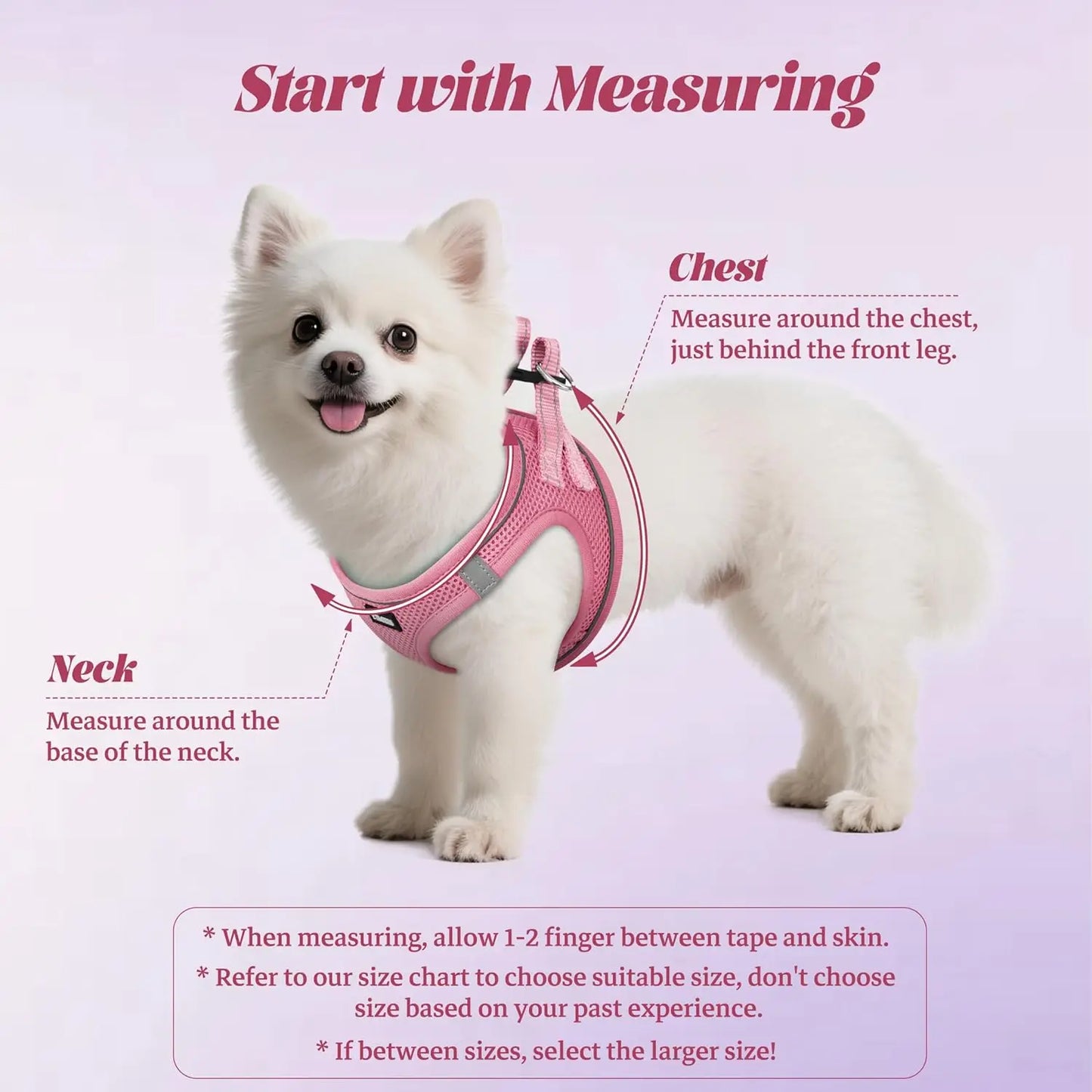 No Pull Dog Harness and Leash Set, Soft Mesh Reflective Vest for Small Medium Dogs, Step-In Design with Adjustable Straps