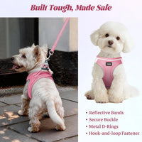 No Pull Dog Harness and Leash Set, Soft Mesh Reflective Vest for Small Medium Dogs, Step-In Design with Adjustable Straps
