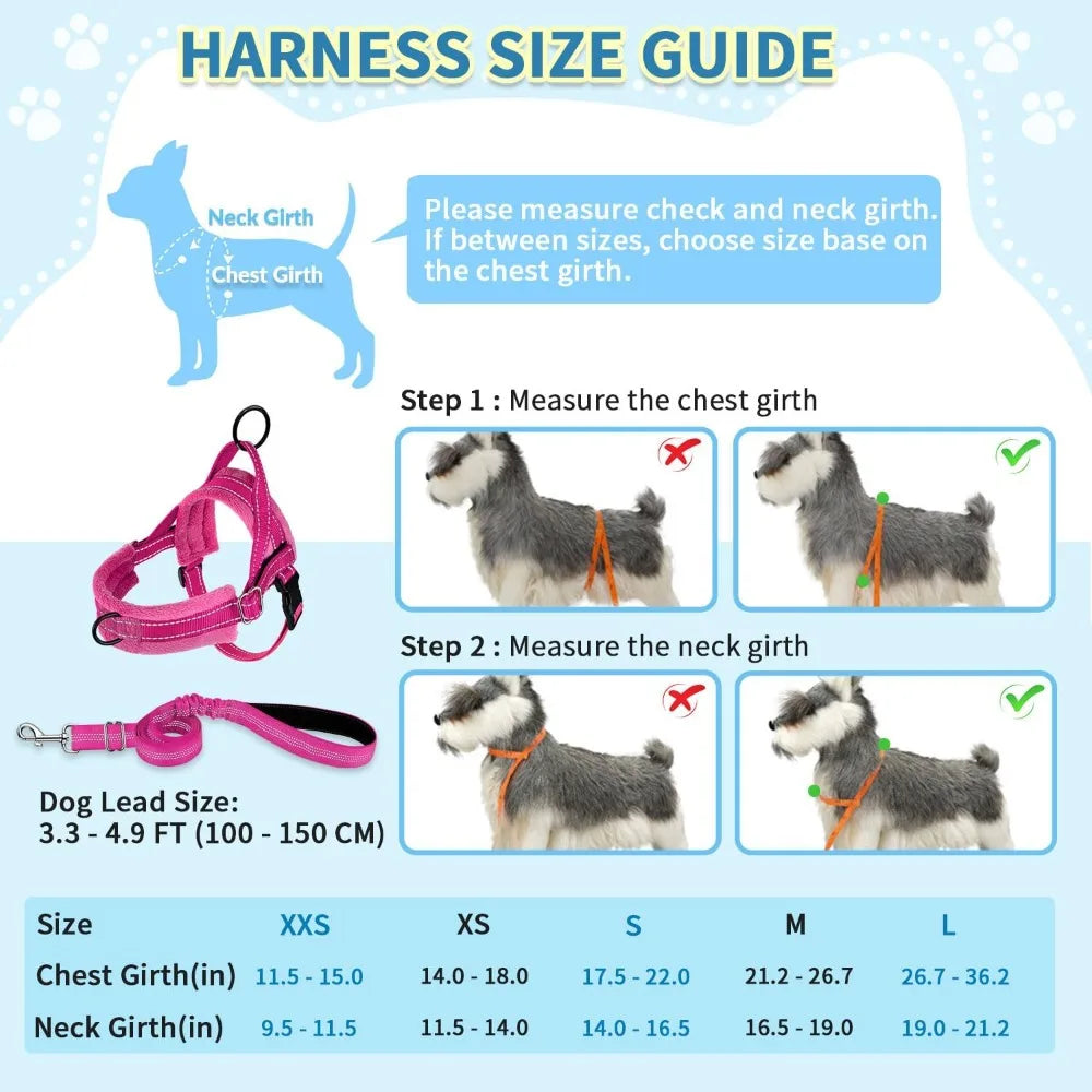 No Pull Small Dog Harness and Leash Set, Soft Vest Harness Neck & Chest Adjustable, Reflective Lightweight Harness & Anti-Twist Pet Lead Combo for Small Medium Dogs (Fuchsia, XXS)