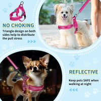 No Pull Small Dog Harness and Leash Set, Soft Vest Harness Neck & Chest Adjustable, Reflective Lightweight Harness & Anti-Twist Pet Lead Combo for Small Medium Dogs (Fuchsia, XXS)
