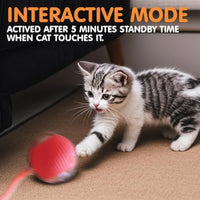 Durable Interactive Cat Toys for Indoor Cats, Smart Automatic Cat Chase Ball Toy, Upgraded Speedy Tail Kitten Toy for Bored Ind