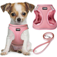 No Pull Dog Harness and Leash Set, Soft Mesh Reflective Vest for Small Medium Dogs, Step-In Design with Adjustable Straps