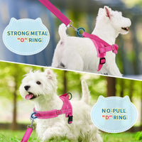 No Pull Small Dog Harness and Leash Set, Soft Vest Harness Neck & Chest Adjustable, Reflective Lightweight Harness & Anti-Twist Pet Lead Combo for Small Medium Dogs (Fuchsia, XXS)