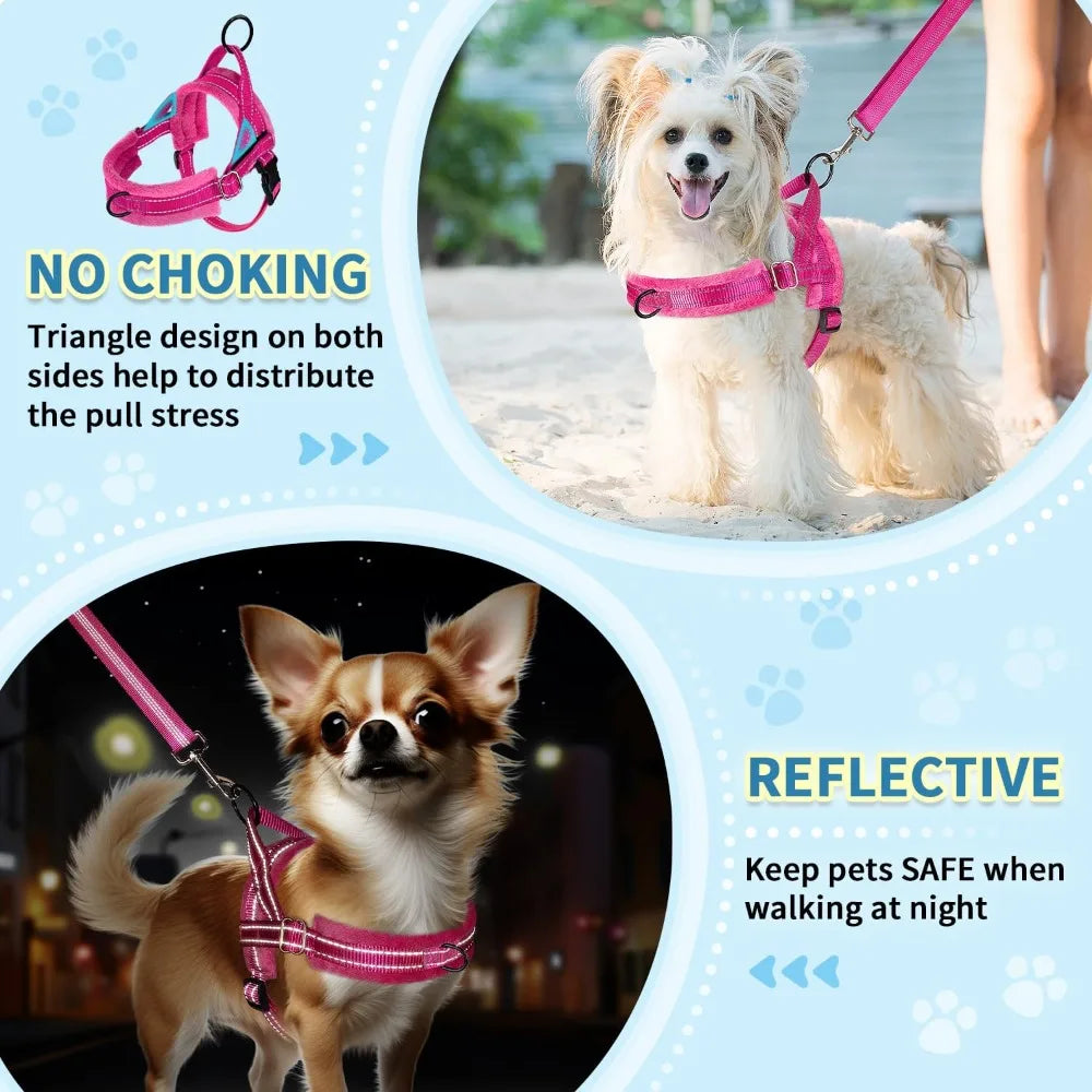No Pull Small Dog Harness and Leash Set, Soft Vest Harness Neck & Chest Adjustable, Reflective Lightweight Harness & Anti-Twist Pet Lead Combo for Small Medium Dogs (Fuchsia, XXS)