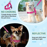 No Pull Small Dog Harness and Leash Set, Soft Vest Harness Neck & Chest Adjustable, Reflective Lightweight Harness & Anti-Twist Pet Lead Combo for Small Medium Dogs (Fuchsia, XXS)
