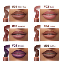 Liner Lipstick 6Colors Matte Black Brown Velvet Lipstick Waterproof Non Sticky Contouring Tint Lipliner Crayon Lip Makeup