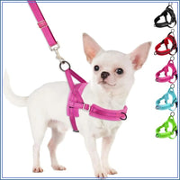 No Pull Small Dog Harness and Leash Set, Soft Vest Harness Neck & Chest Adjustable, Reflective Lightweight Harness & Anti-Twist Pet Lead Combo for Small Medium Dogs (Fuchsia, XXS)
