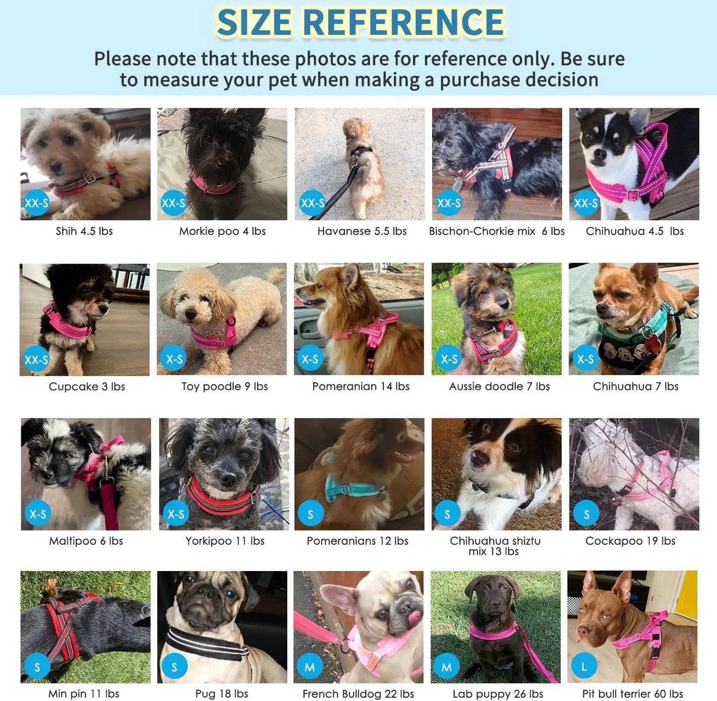 No Pull Small Dog Harness and Leash Set, Soft Vest Harness Neck & Chest Adjustable, Reflective Lightweight Harness & Anti-Twist Pet Lead Combo for Small Medium Dogs (Fuchsia, XXS)