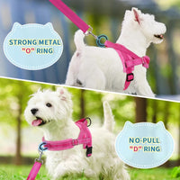 No Pull Small Dog Harness and Leash Set, Soft Vest Harness Neck & Chest Adjustable, Reflective Lightweight Harness & Anti-Twist Pet Lead Combo for Small Medium Dogs (Fuchsia, XXS)