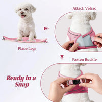No Pull Dog Harness and Leash Set, Soft Mesh Reflective Vest for Small Medium Dogs, Step-In Design with Adjustable Straps